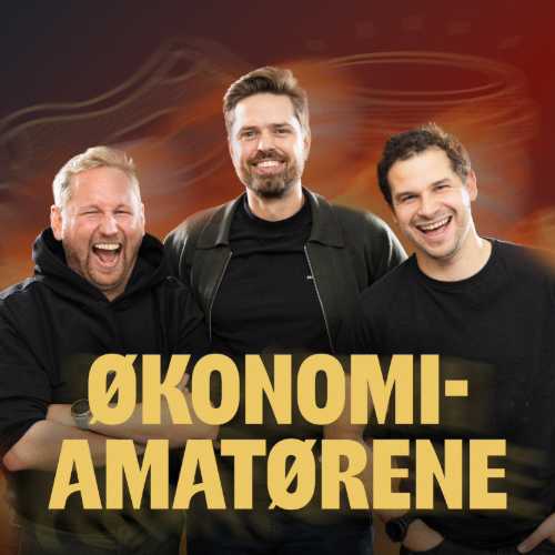 Økonomi amatørene