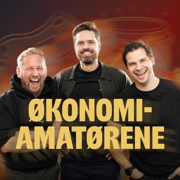 Økonomi amatørene