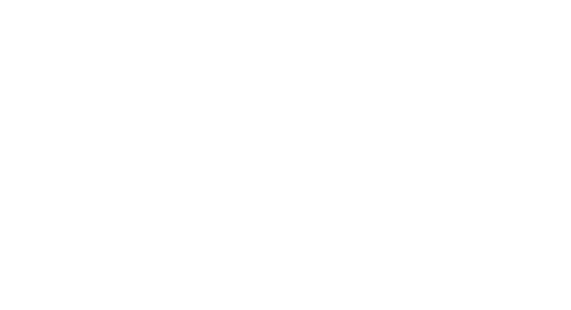 Finanstilsynet